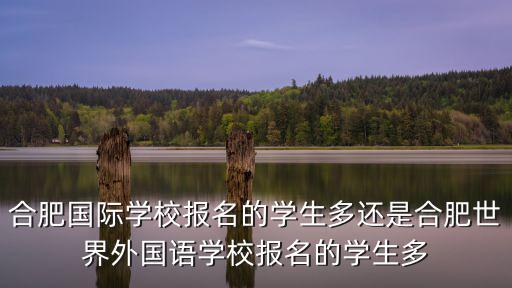 合肥國際學(xué)校報(bào)名的學(xué)生多還是合肥世界外國語學(xué)校報(bào)名的學(xué)生多