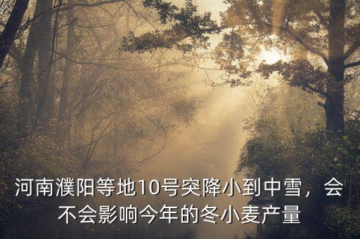 河南濮陽等地10號突降小到中雪，會不會影響今年的冬小麥產量