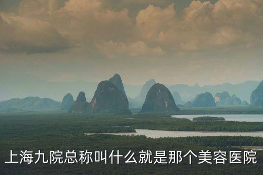 上海九院總稱叫什么就是那個美容醫(yī)院