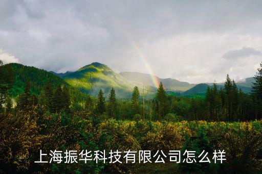上海振華科技有限公司怎么樣