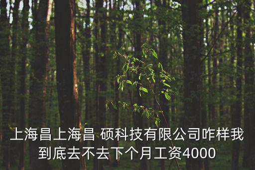 上海昌上海昌 碩科技有限公司咋樣我到底去不去下個月工資4000