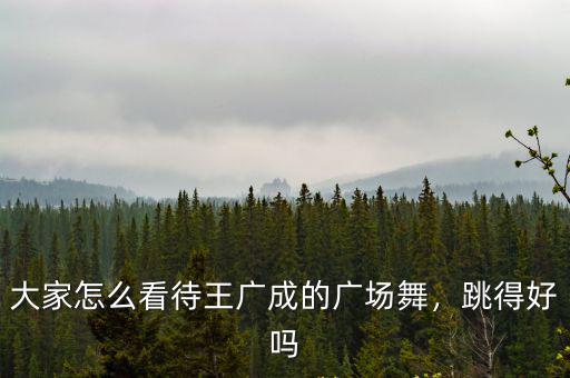 大家怎么看待王廣成的廣場舞，跳得好嗎