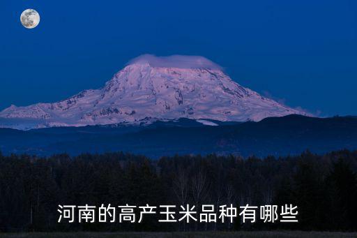 河南的高產玉米品種有哪些