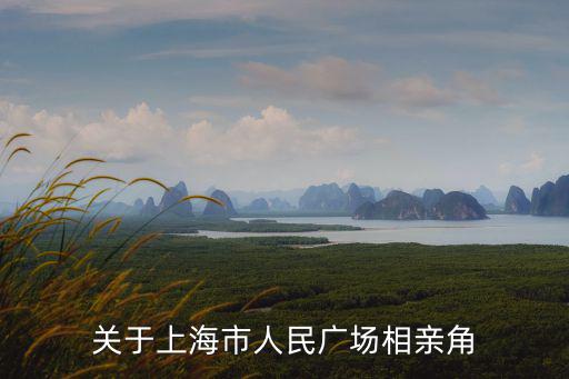 關(guān)于上海市人民廣場(chǎng)相親角