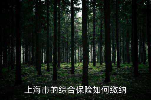上海保險，上海外來務(wù)工人員綜合保險