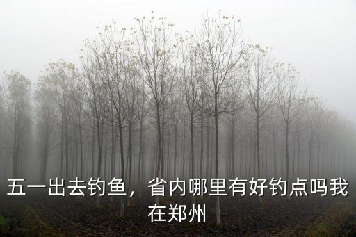五一出去釣魚，省內哪里有好釣點嗎我在鄭州