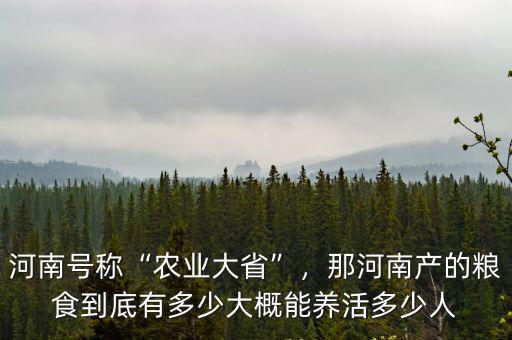 河南號稱“農業大省”，那河南產的糧食到底有多少大概能養活多少人