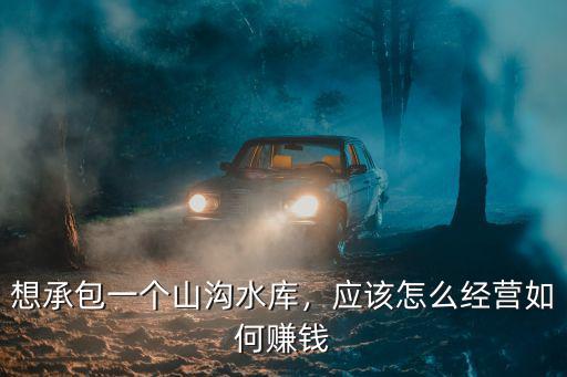 想承包一個山溝水庫，應該怎么經營如何賺錢