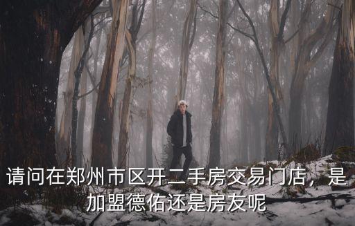 請問在鄭州市區開二手房交易門店，是加盟德佑還是房友呢