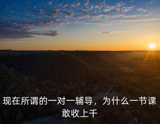 現在所謂的一對一輔導，為什么一節課敢收上千