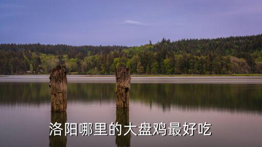 洛陽(yáng)哪里的大盤(pán)雞最好吃