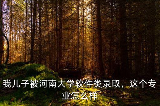 我兒子被河南大學(xué)軟件類錄取，這個專業(yè)怎么樣