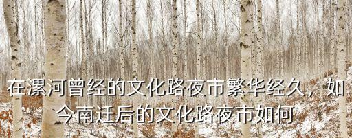 在漯河曾經的文化路夜市繁華經久，如今南遷后的文化路夜市如何