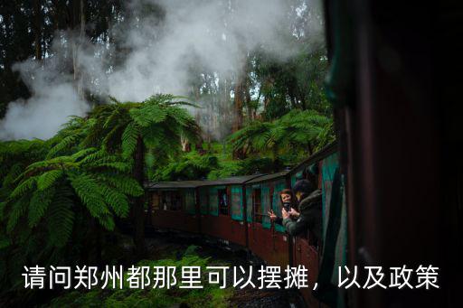 請問鄭州都那里可以擺攤，以及政策