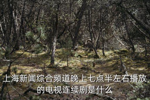 上海新聞綜合頻道晚上七點(diǎn)半左右播放的電視連續(xù)劇是什么