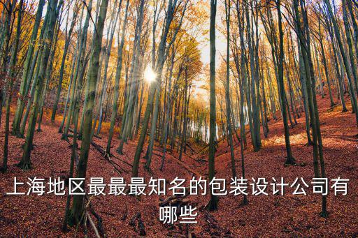 上海地區最最最知名的包裝設計公司有哪些