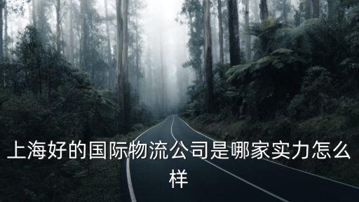 上海好的國際物流公司是哪家實力怎么樣