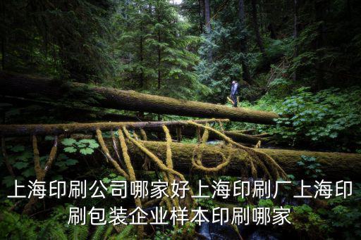 上海印刷，上海印刷公司哪家好上海印刷廠上海印刷包裝企業樣本印刷哪家