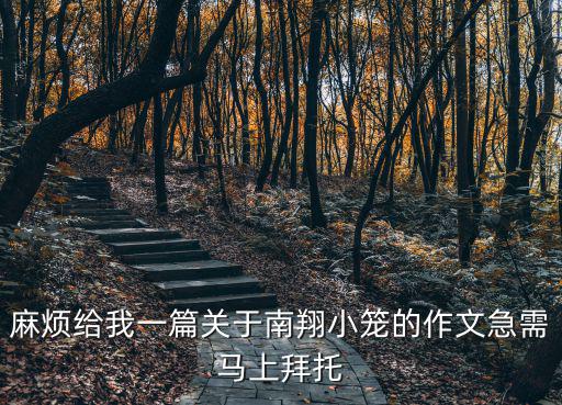 麻煩給我一篇關(guān)于南翔小籠的作文急需馬上拜托
