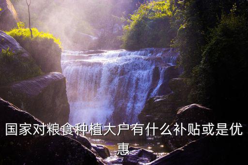 河南種糧大戶一戶有多少地,種多少地算是種地大戶
