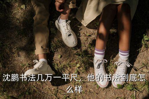 沈鵬書法幾萬一平尺，他的書法到底怎么樣
