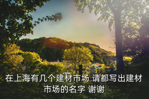 上海建筑建材業，在上海有幾個建材市場 請都寫出建材市場的名字 謝謝