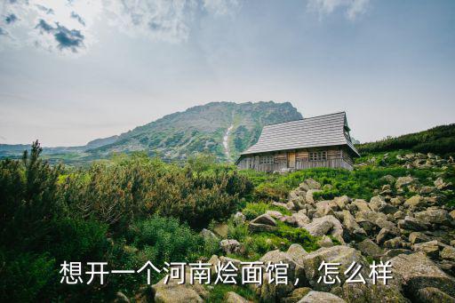 想開一個河南燴面館，怎么樣