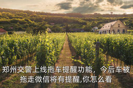 鄭州交警上線拖車提醒功能，今后車被拖走微信將有提醒,你怎么看