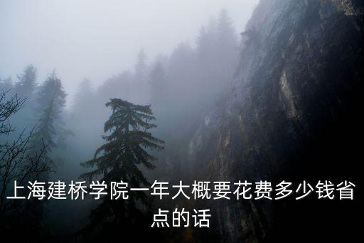 上海建橋學院學費，上海建橋學院一年大概要花費多少錢省點的話