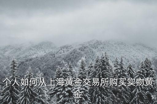 個人如何從上海黃金交易所購買實物黃金