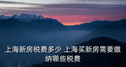 上海新房稅費，上海市房產(chǎn)契稅一般是多少誰能說說能不能具體說一下