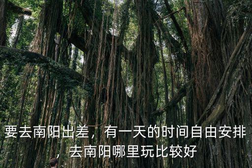 要去南陽出差，有一天的時(shí)間自由安排，去南陽哪里玩比較好