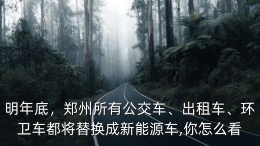 明年底，鄭州所有公交車、出租車、環衛車都將替換成新能源車,你怎么看
