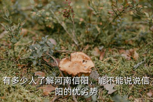 有多少人了解河南信陽，能不能說說信陽的優(yōu)劣勢