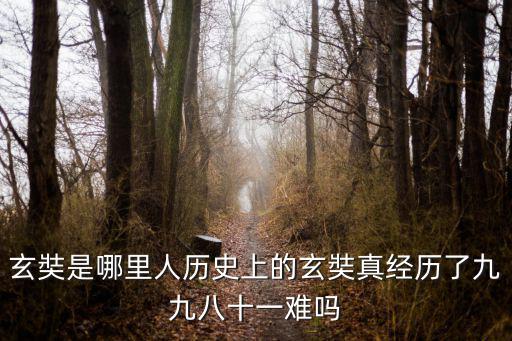 玄奘是哪里人歷史上的玄奘真經歷了九九八十一難嗎