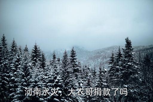 河南水災，大衣哥捐款了嗎