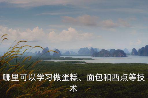 哪里可以學習做蛋糕、面包和西點等技術(shù)