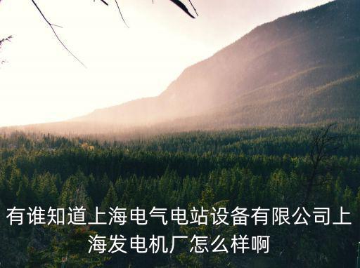 有誰知道上海電氣電站設備有限公司上海發電機廠怎么樣啊
