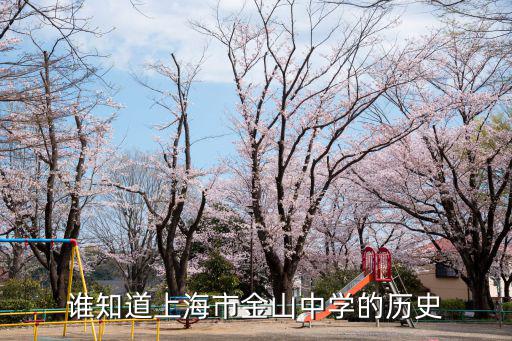 誰知道上海市金山中學的歷史