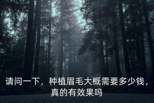 請問一下，種植眉毛大概需要多少錢，真的有效果嗎