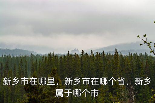 新鄉市在哪里，新鄉市在哪個省，新鄉屬于哪個市