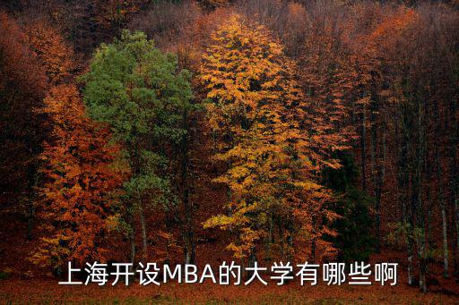 上海mba，上海性價比較高的MBA推薦