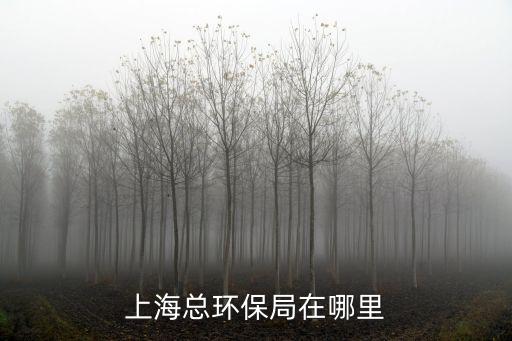 上?？偔h保局在哪里