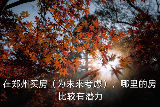 在鄭州買房（為未來(lái)考慮），哪里的房比較有潛力