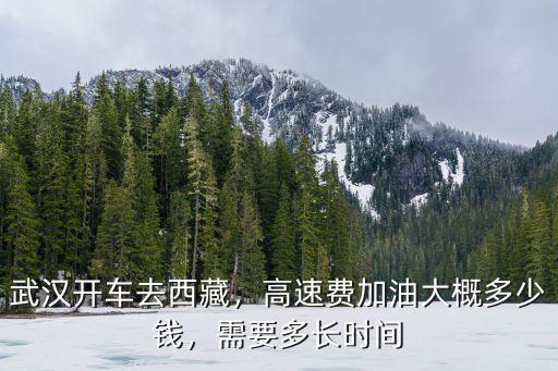 開車南陽到武漢過路費多少錢,武漢開車去西藏