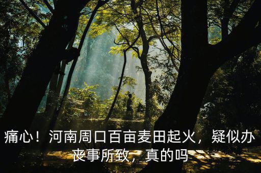 痛心！河南周口百畝麥田起火，疑似辦喪事所致，真的嗎
