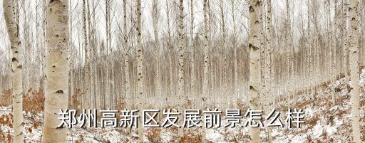 鄭州西區(qū)美高科幼兒園怎么樣,鄭州西區(qū)前景如何