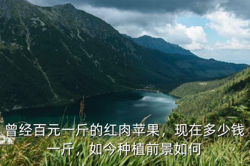 河南種蘋果多少錢一斤,現在多少錢一斤