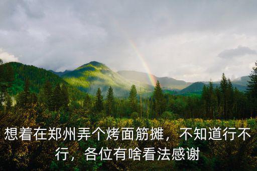 想著在鄭州弄個烤面筋攤，不知道行不行，各位有啥看法感謝