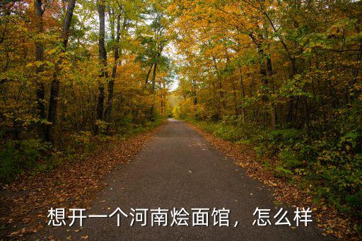 想開一個河南燴面館，怎么樣